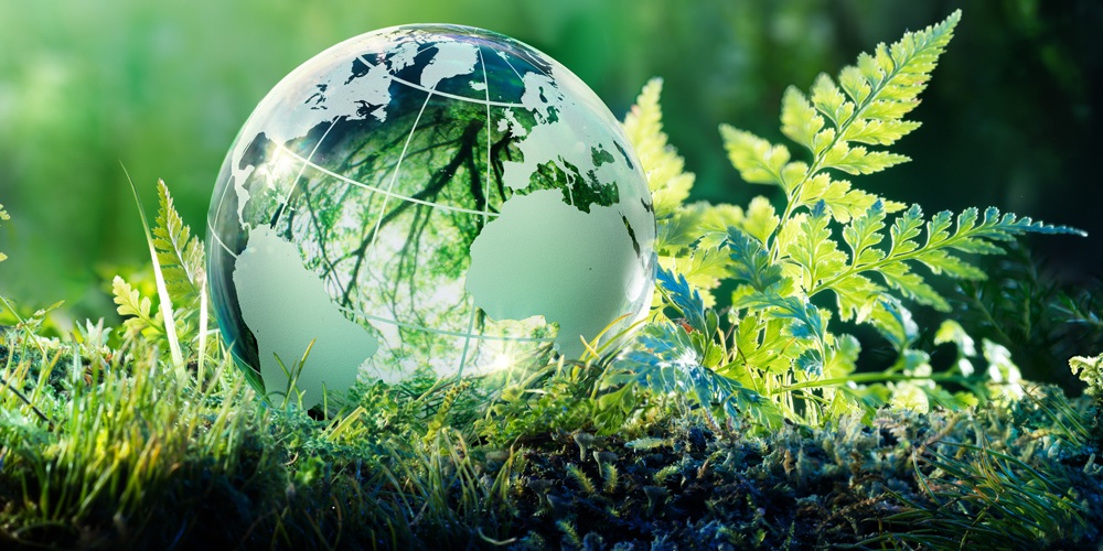 Szkoła Podstawowa nr 90 - złota  żaba