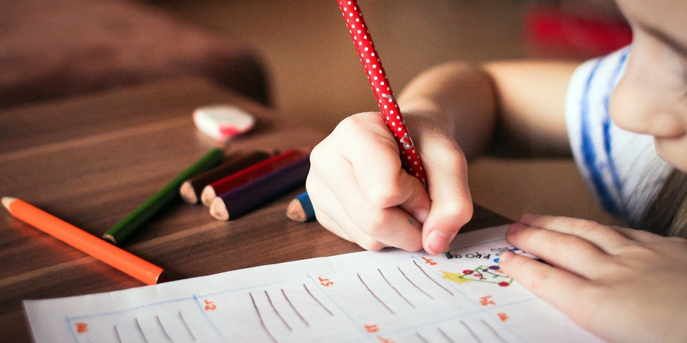 Szkolny klub kariery